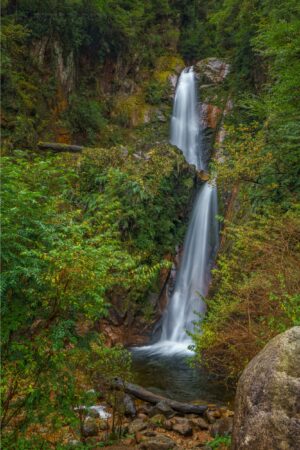 Fotografia Cascada-La-Virgen-Aysen-WEB