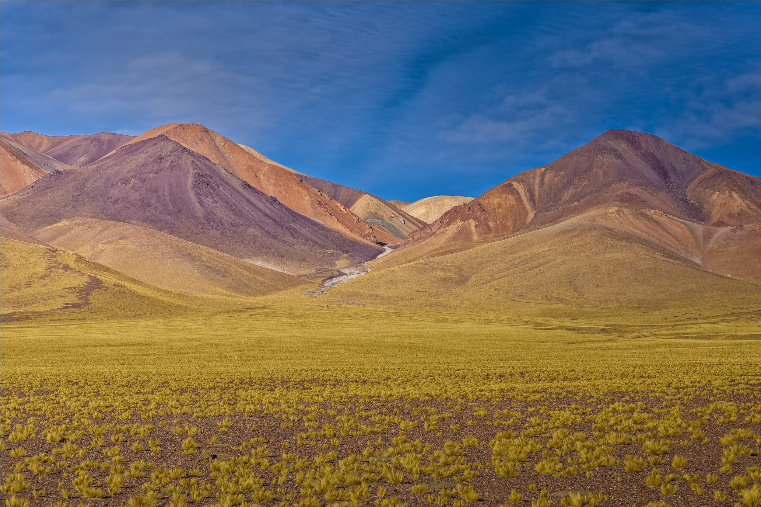 Fotografia Colores-de-Las-Peladas-WEB