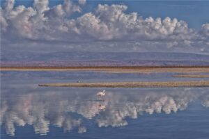 Fotografia Laguna-Chaxa-Salar-de-Atacama-WEB