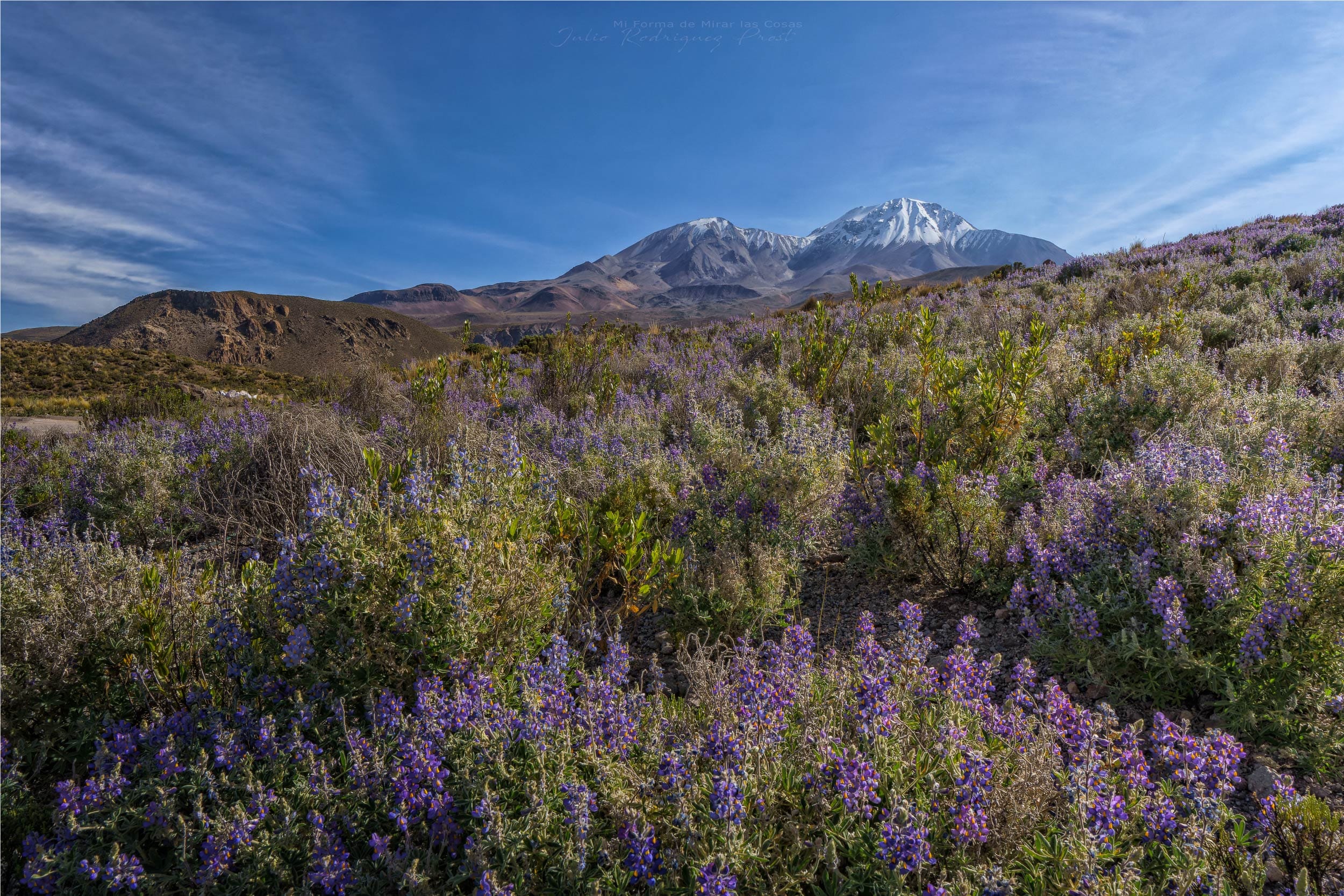 Fotografia Parque-Lauca-Chile-1-WEB