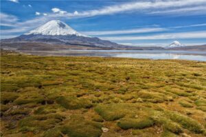 Fotografia Parque-Lauca-Chile-2-WEB