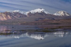 Fotografia Parque-Lauca-Chile-5-WEB