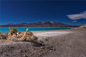 Fotografia Vaca-de-Laguna-Verde-WEB